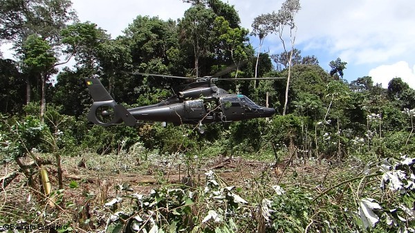Exército aprova desempenho da versão modernizada dos helicópteros Pantera